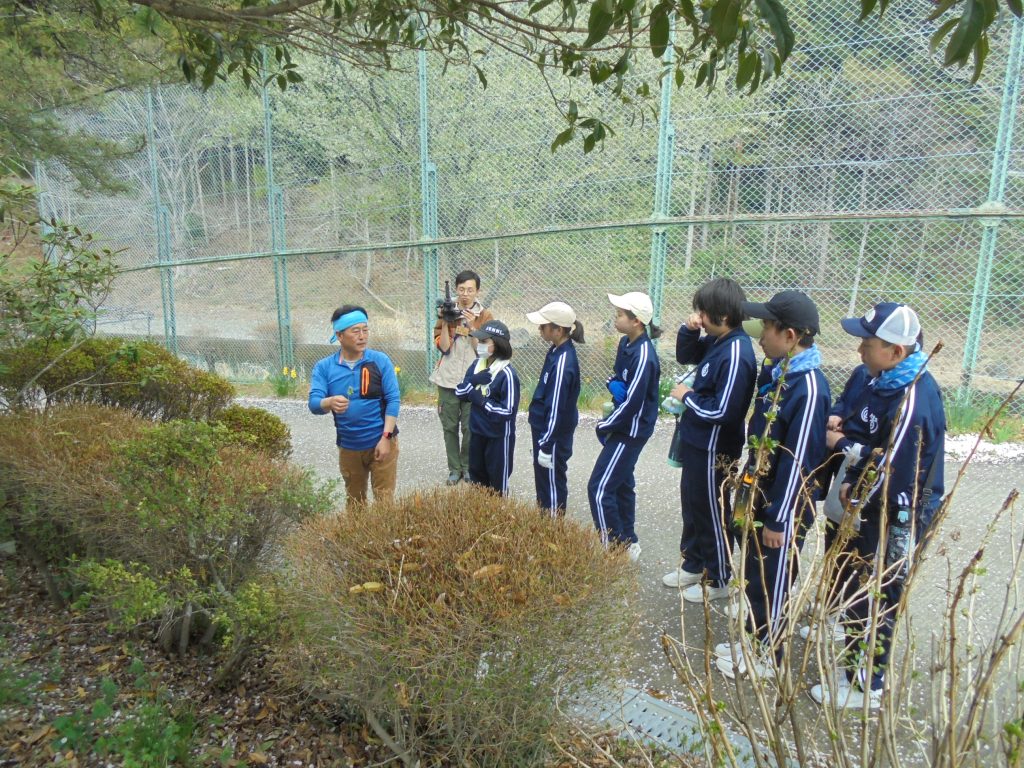 4/17 上野村の野草を学びました（１年）